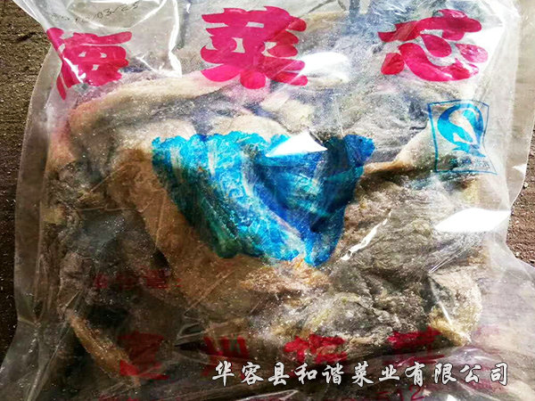 海菜芯